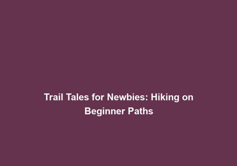 Trail Tales for Newbies: Hiking on Beginner Paths